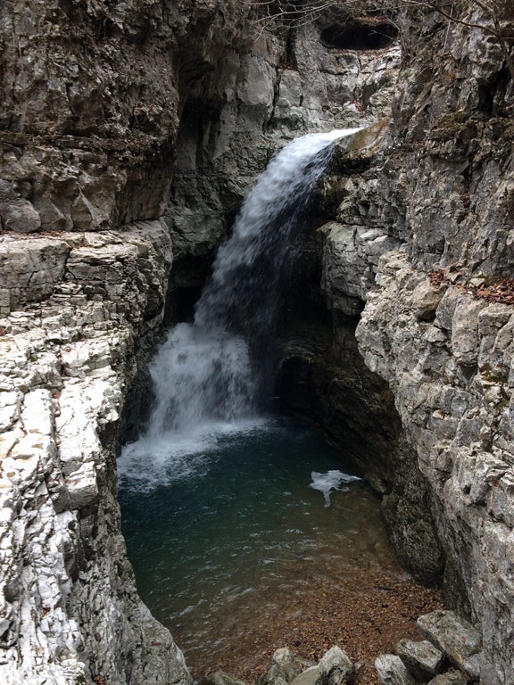 Walls of Jericho Spotlight Forever Wild